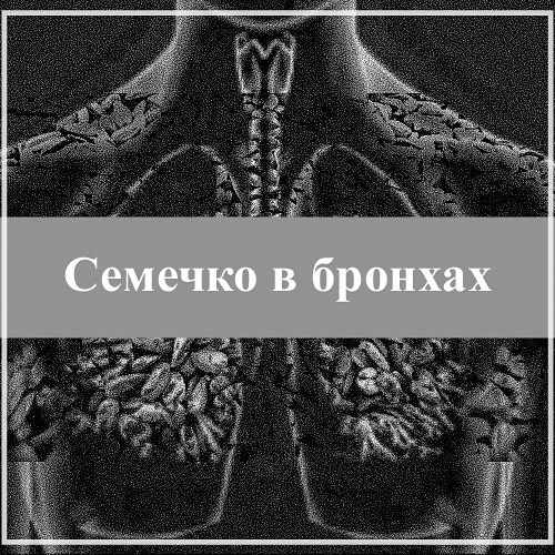 Семечко в бронхах